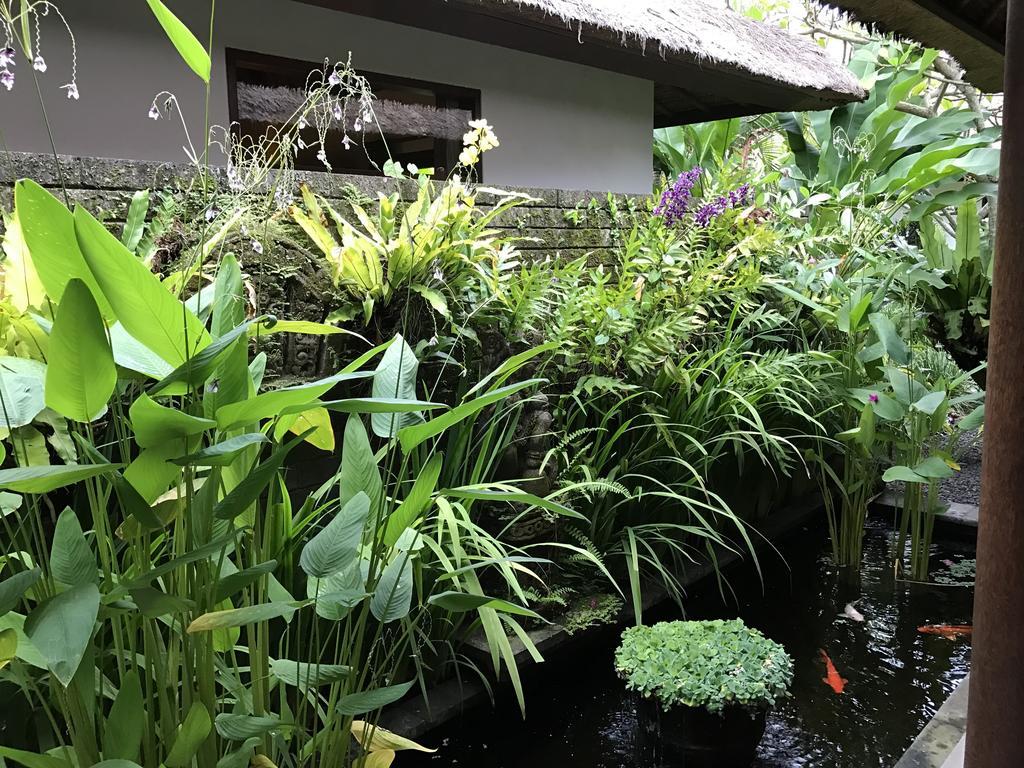 Bali Villa Aja 세미냑 외부 사진